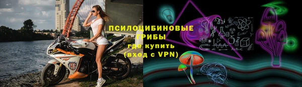 стаф Балахна