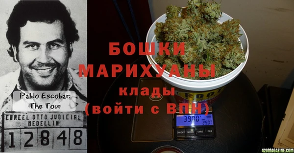 хмурый Пестово